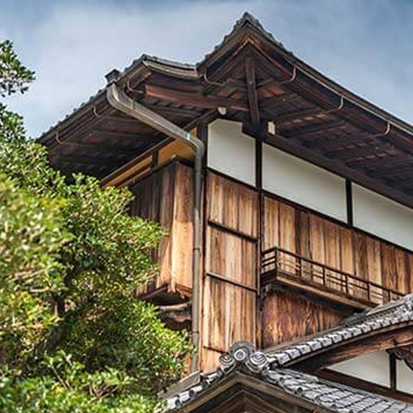 木構建築物的蟻蟲防治最新產品